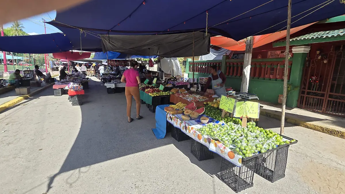Pescadores buscan ingresos en otras actividades