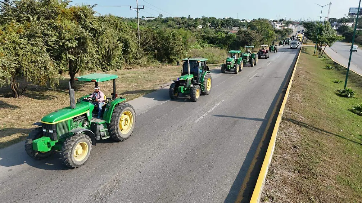 WhatsApp Image 2025-12-18 at 13.57.15