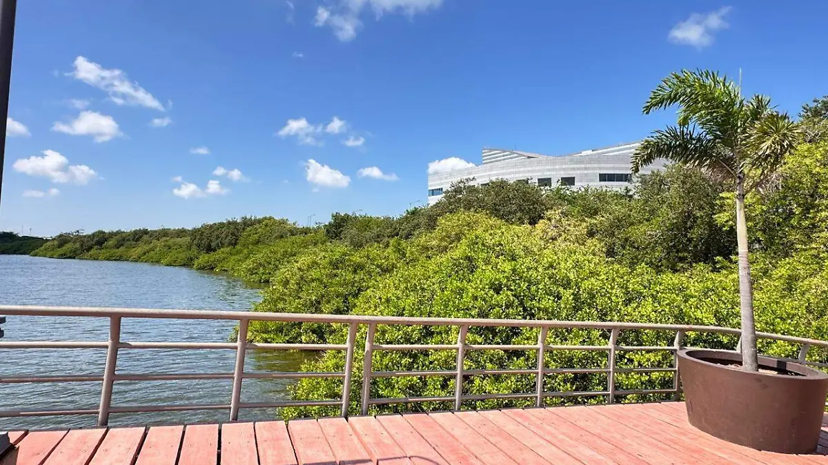 Laguna del Carpintero Tampico