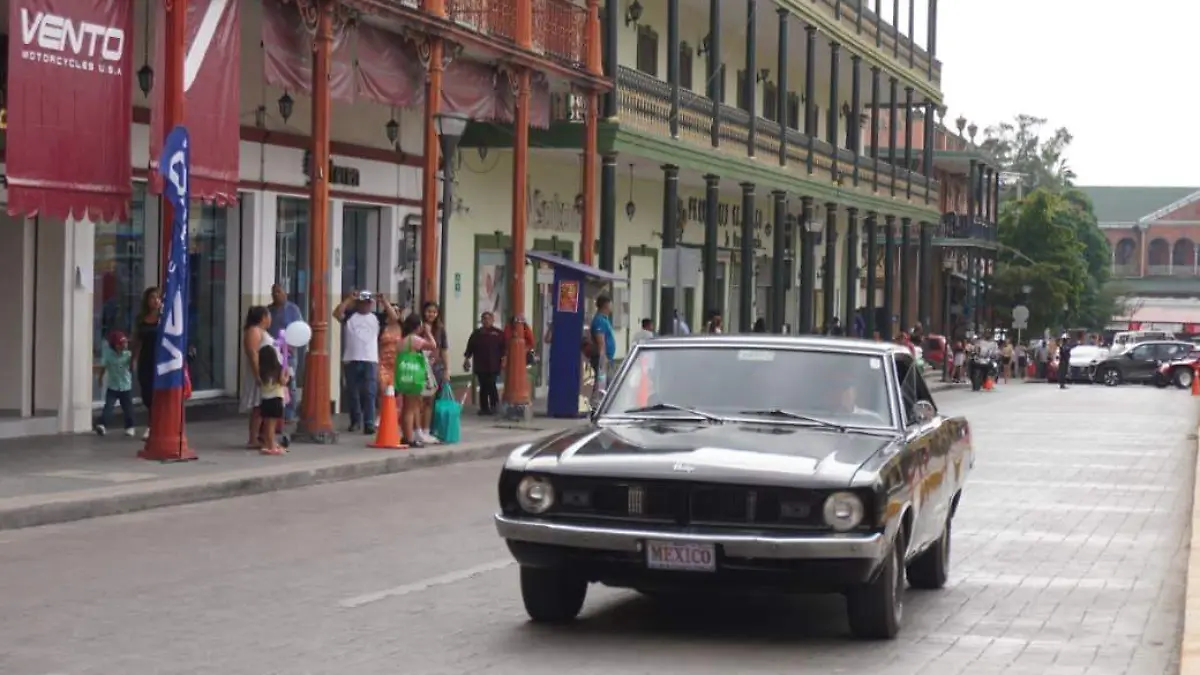 WhatsApp Image 2025-12-21 at 15.03.00