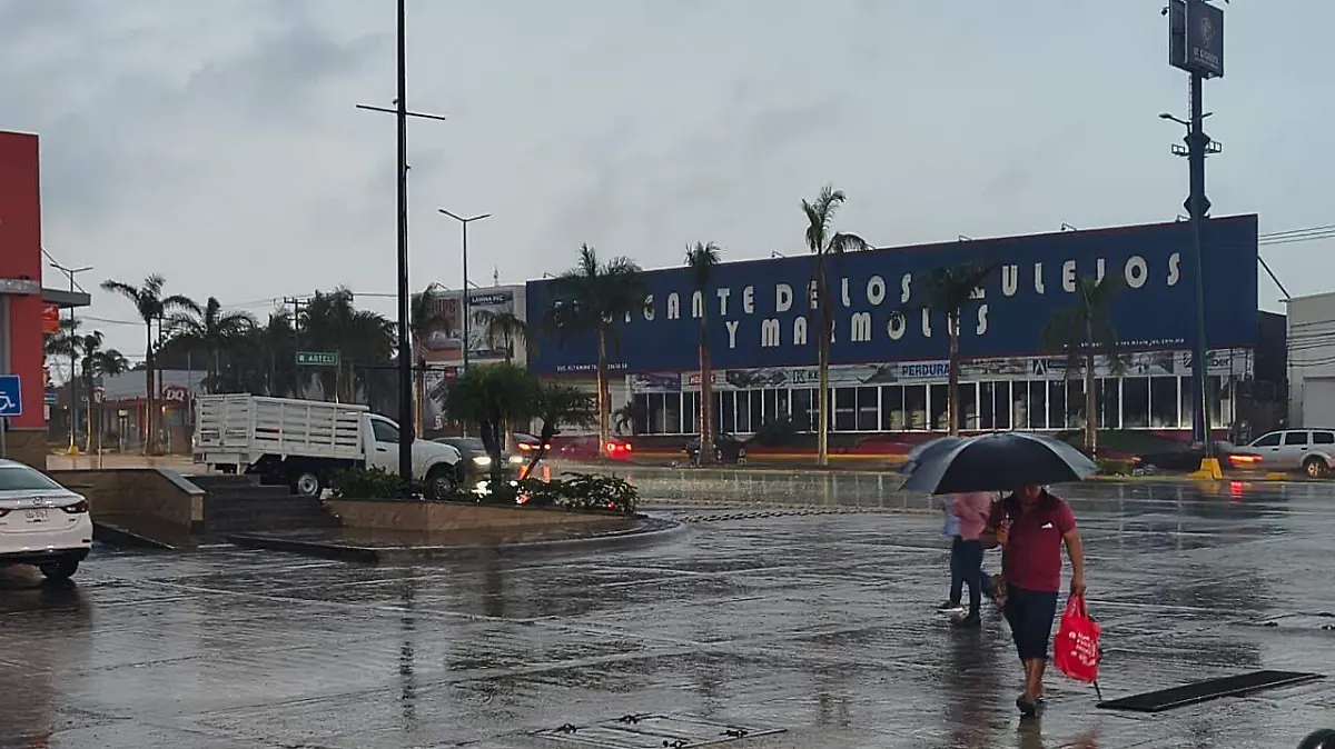 WhatsApp Image 2025-12-22 at 8.00.00 AM