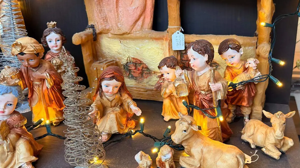 WhatsApp Image 2025-12-22 at 11.28.45 AM (1)