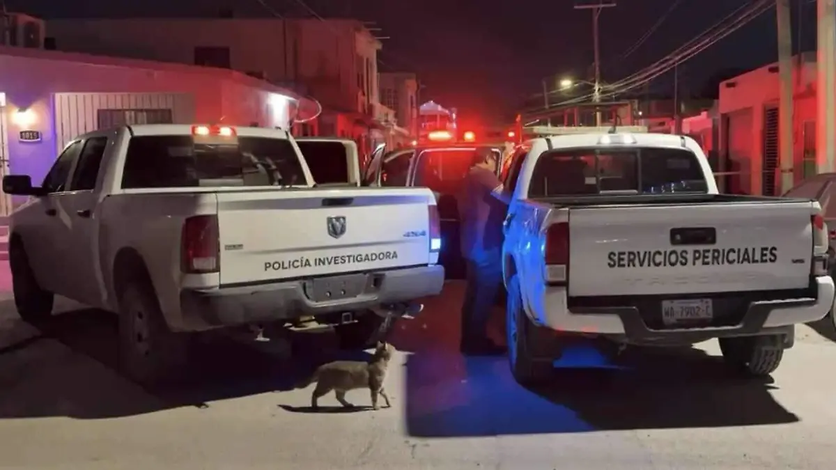 WhatsApp Image 2025-12-23 at 9.53.35 AM