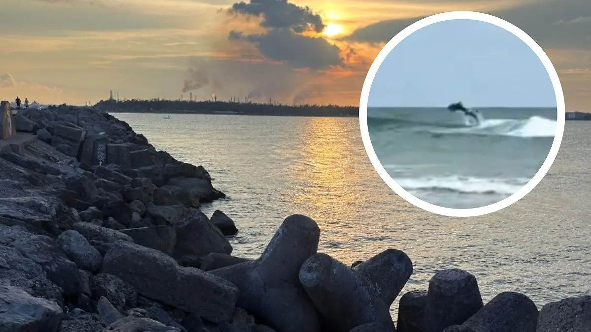 Medidas portada notas El Sol de Tampico (95)