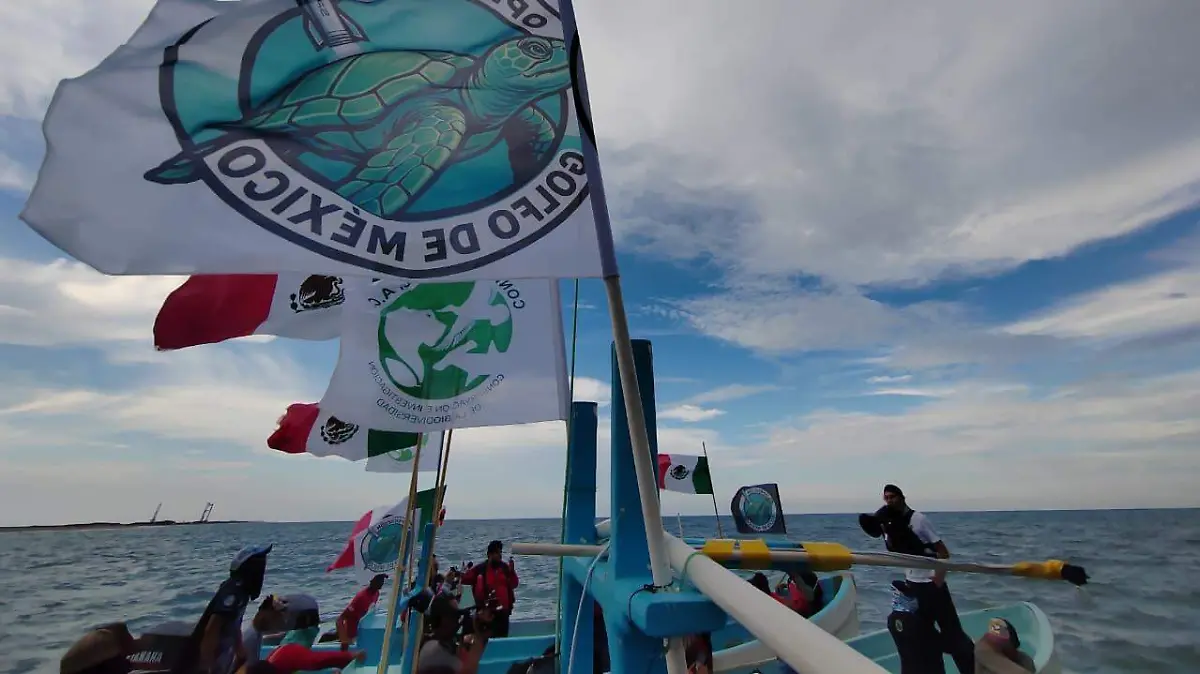 WhatsApp Image 2025-12-26 at 12.13.06 PM (1)