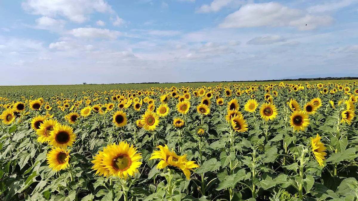 WhatsApp Image 2025-12-26 at 12.57.00 PM