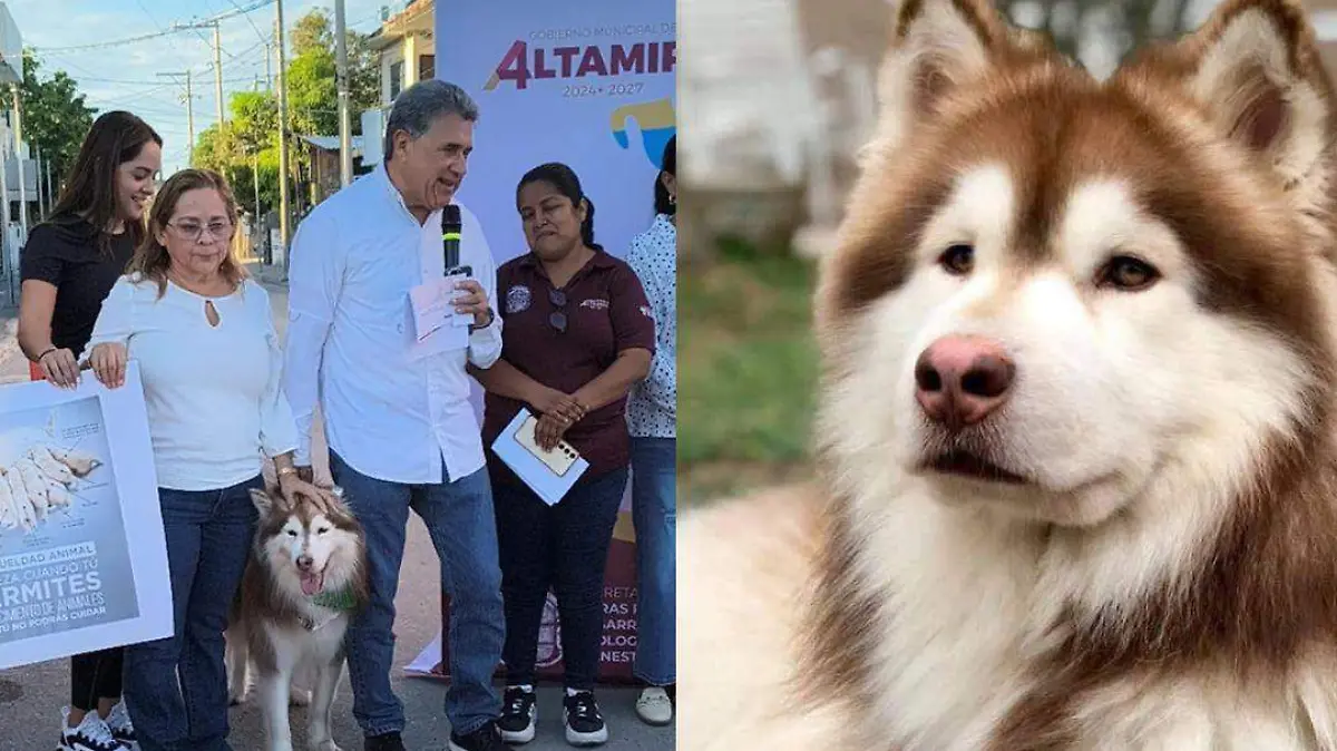 FOTOS DE TAMAÑO (48)