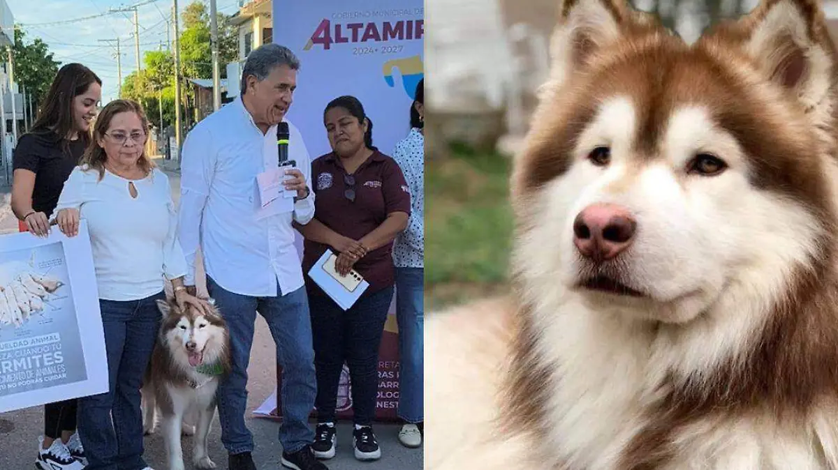 FOTOS DE TAMAÑO (48)