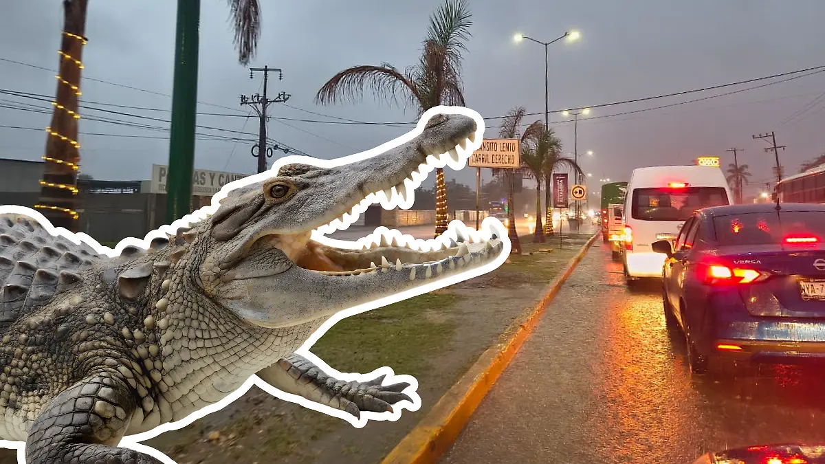 Medidas portada notas El Sol de Tampico - 2025-12-26T192623.297