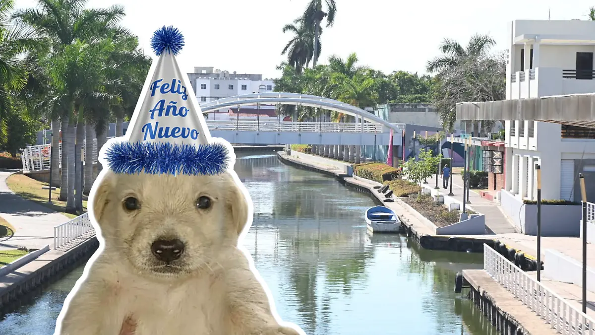 Medidas portada notas El Sol de Tampico - 2025-12-26T222305.649