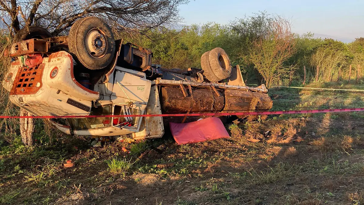 WhatsApp Image 2025-12-27 at 10.12.03