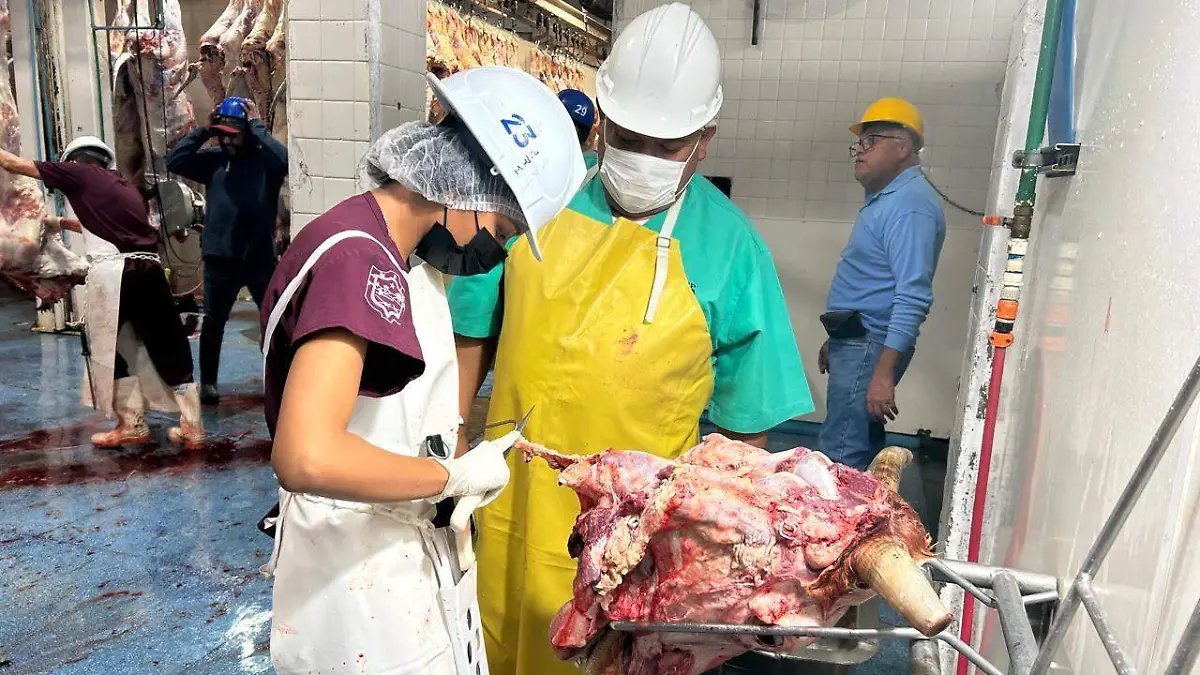 Rastro de Tampico solo acepta ganado de Nuevo León