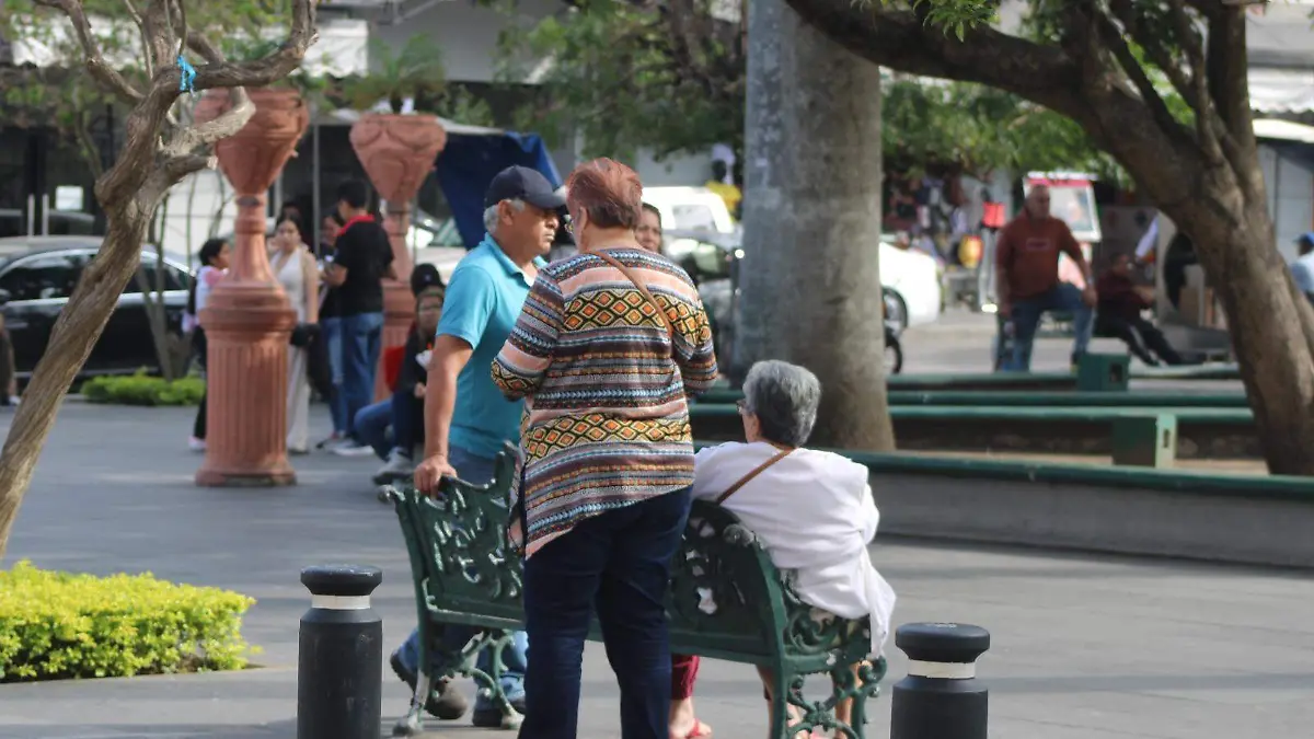 WhatsApp Image 2025-12-28 at 6.58.59 PM