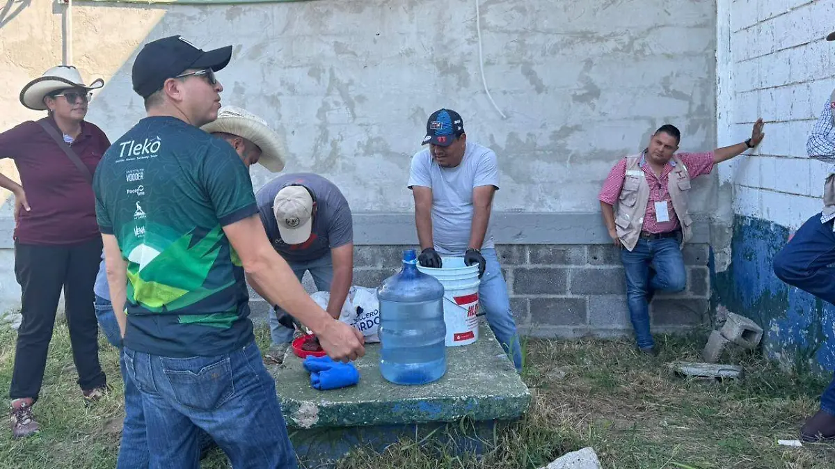 d15eabf2-aaa6-40a8-aaad-8b1d528a788e