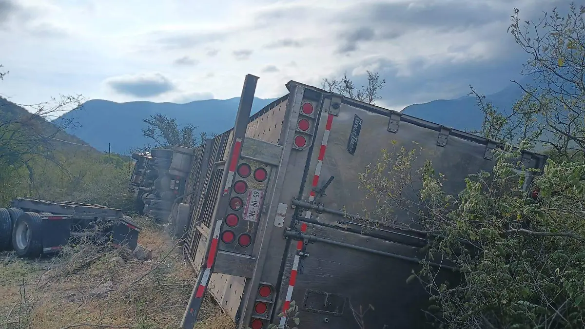 WhatsApp Image 2025-12-29 at 10.30.44 AM