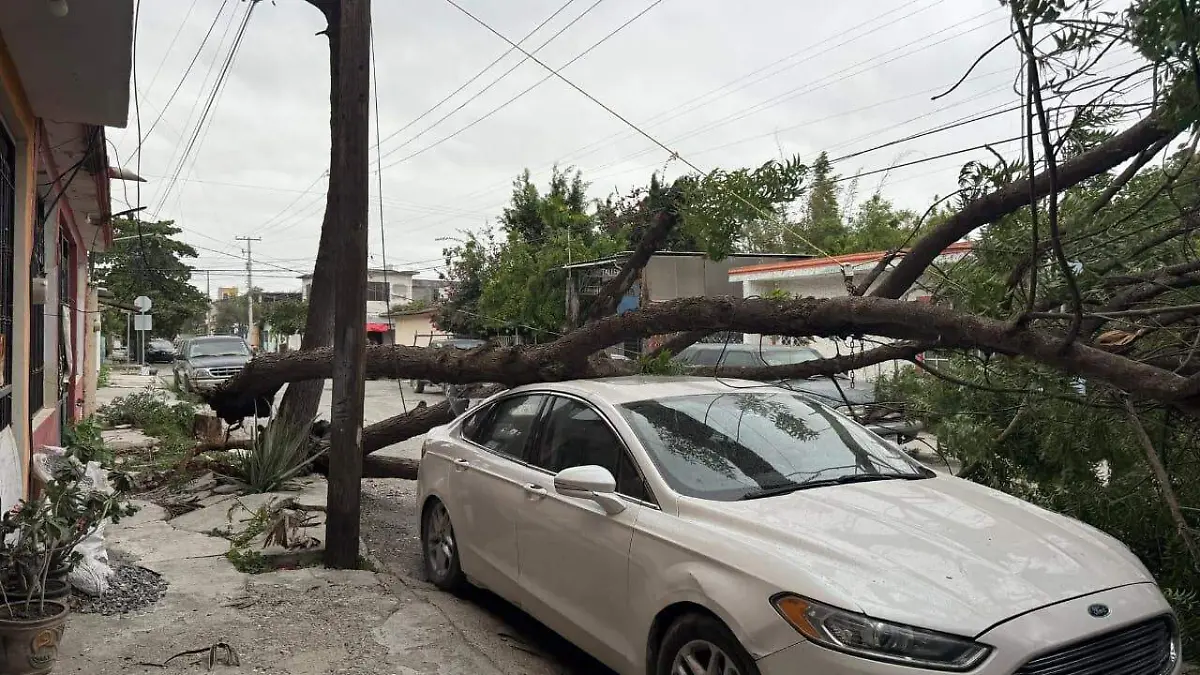 WhatsApp Image 2025-12-29 at 12.15.34 PM