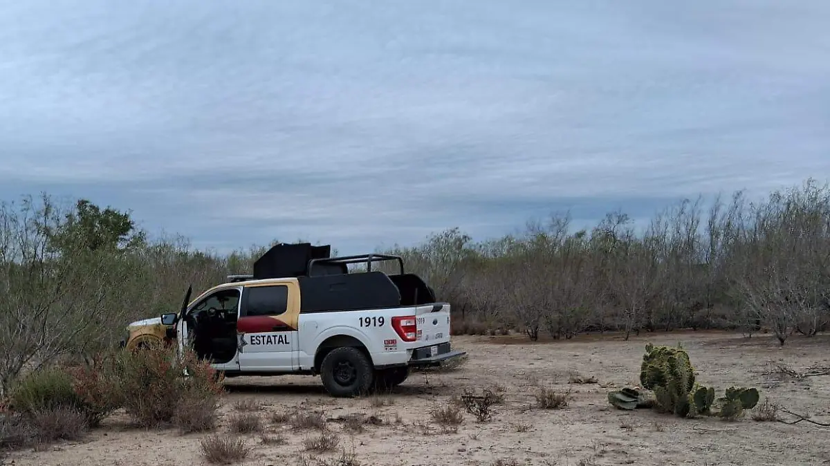 WhatsApp Image 2025-12-30 at 10.15.14 AM (1)