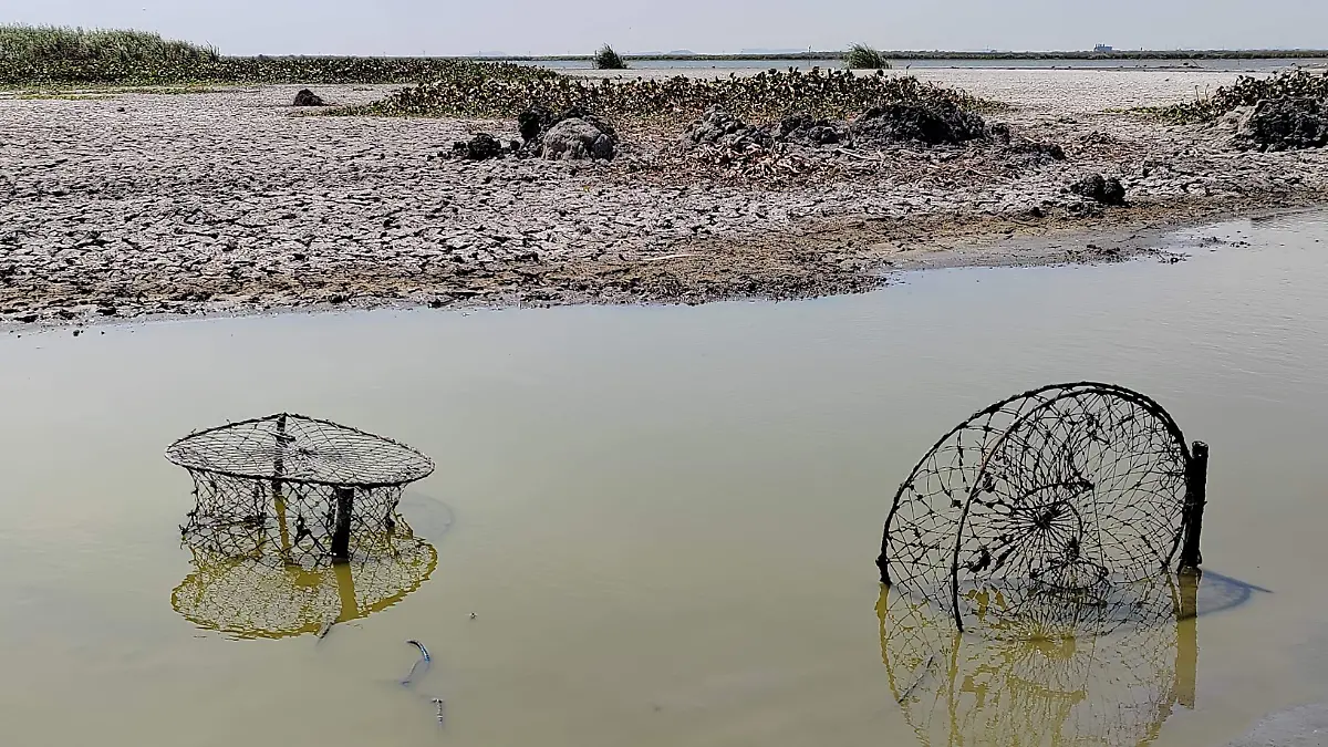 Durante el periodo de sequía extrema en el primer cuatrimestre de 2024, los cuerpos de agua del sur de Tamaulipas registraron mínimos históricos