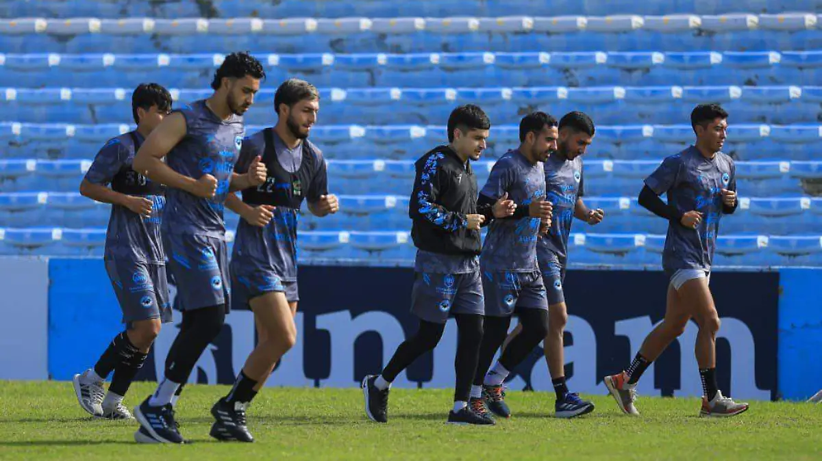 Jaiba Brava Expansion