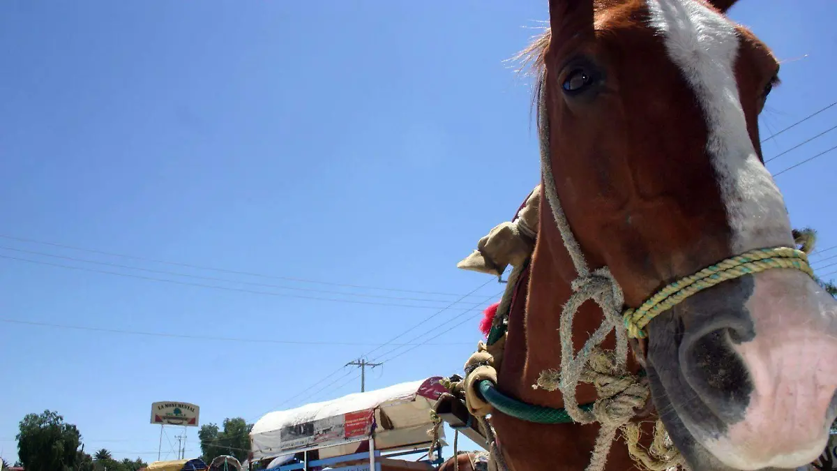 199685_Protestas Carreteros_web (1)