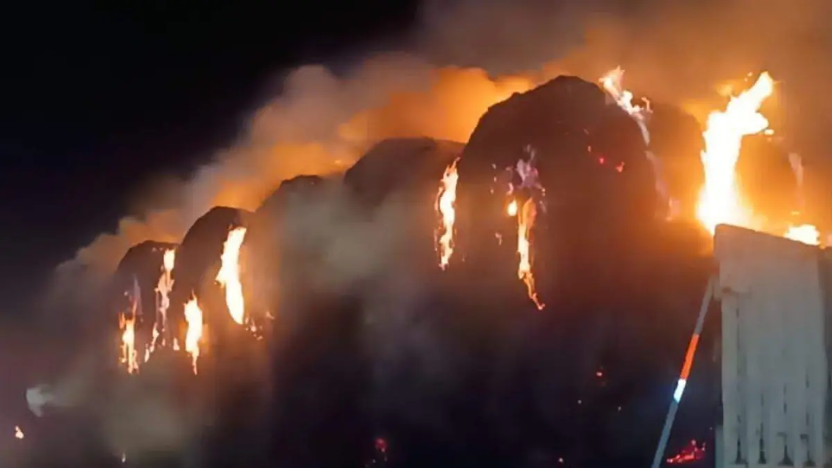 WhatsApp Image 2026-01-01 at 9.44.04 PM