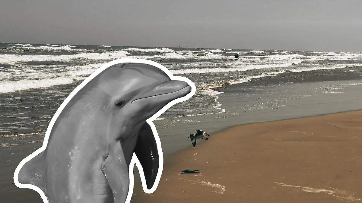 WhatsApp Image 2026-01-05 at 12.25.04 PM