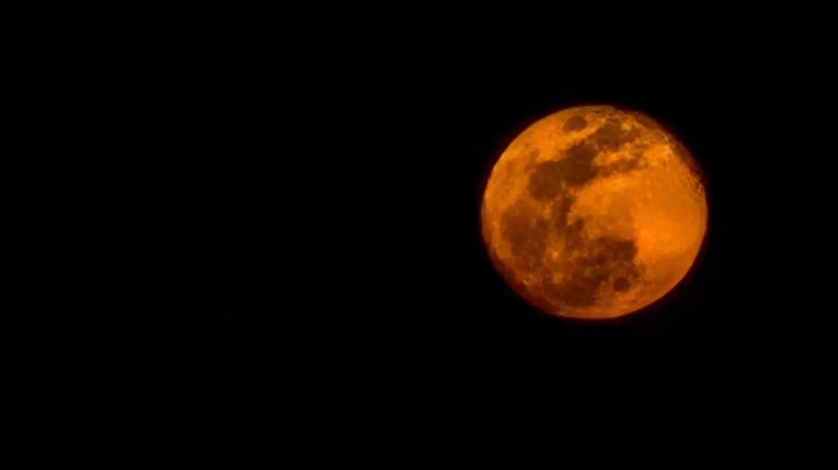 WhatsApp Image 2026-01-05 at 17.26.44