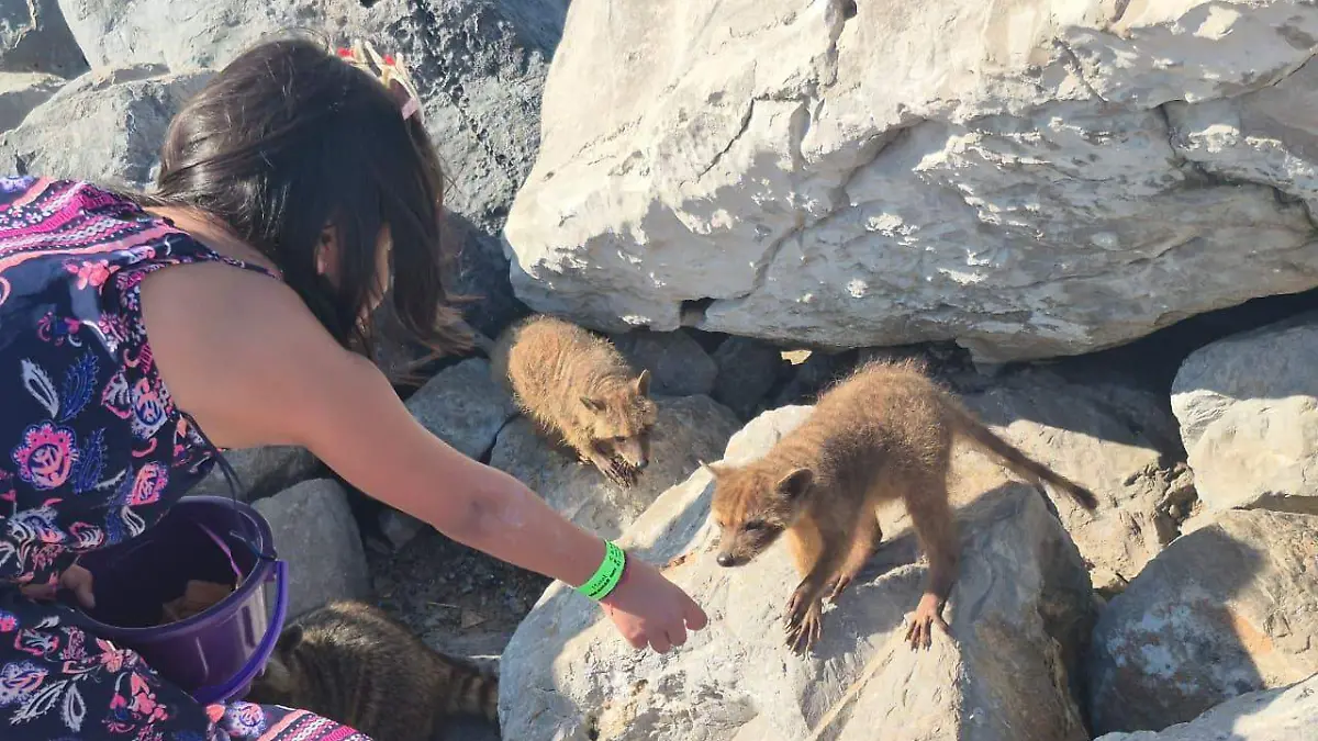 WhatsApp Image 2026-01-01 at 1.55.06 PM