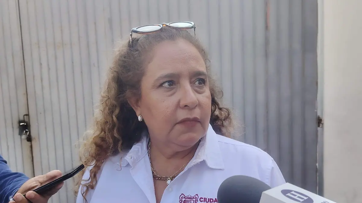 Rocío de Leija, titular del área de Ingresos