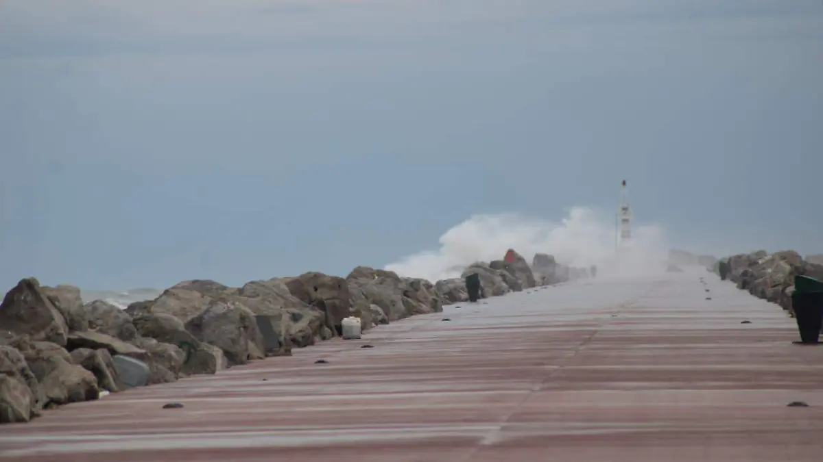 WhatsApp Image 2026-01-07 at 22.35.35 (1)