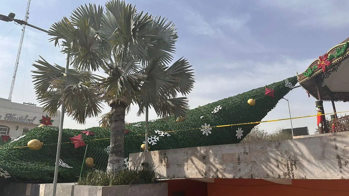 WhatsApp Image 2026-01-08 at 12.35.47 PM