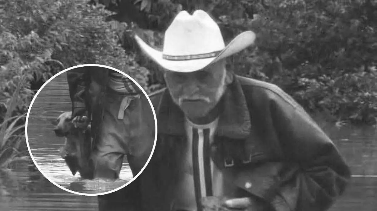 WhatsApp Image 2026-01-08 at 20.01.02