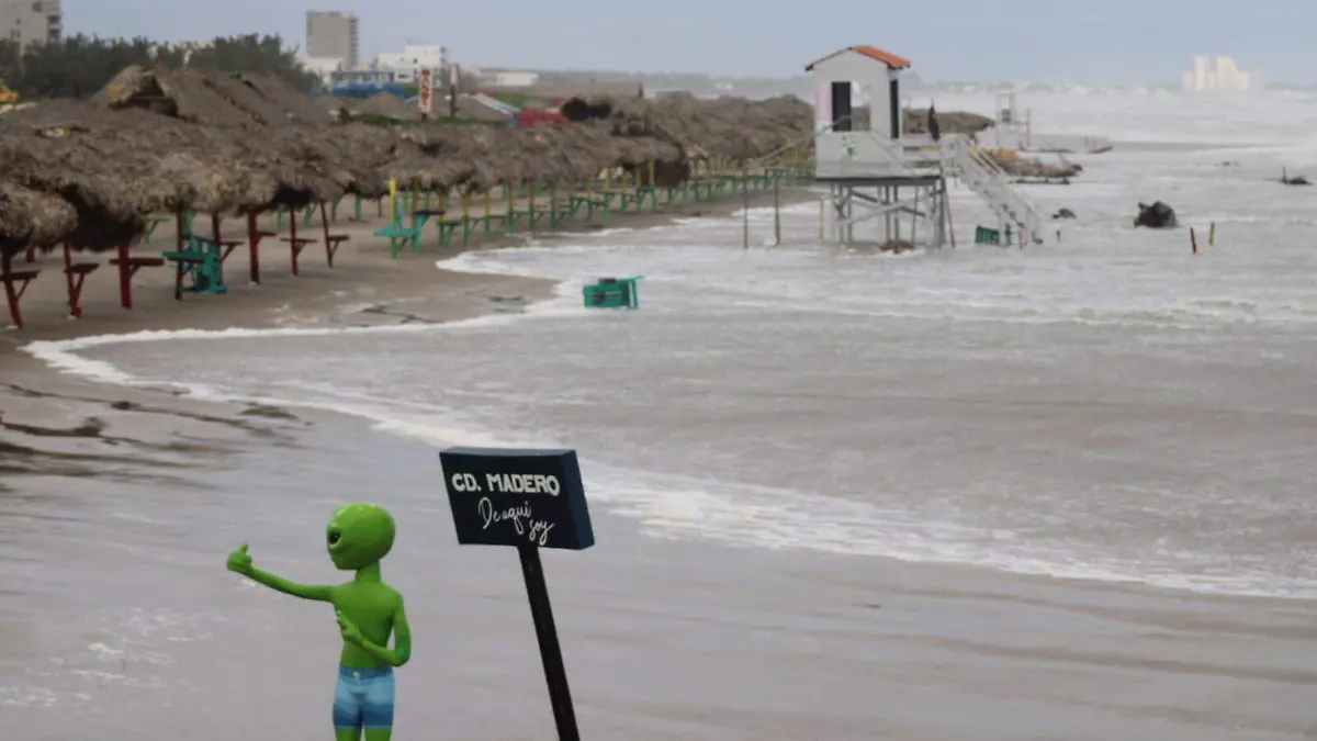 WhatsApp Image 2026-01-09 at 9.56.33 AM