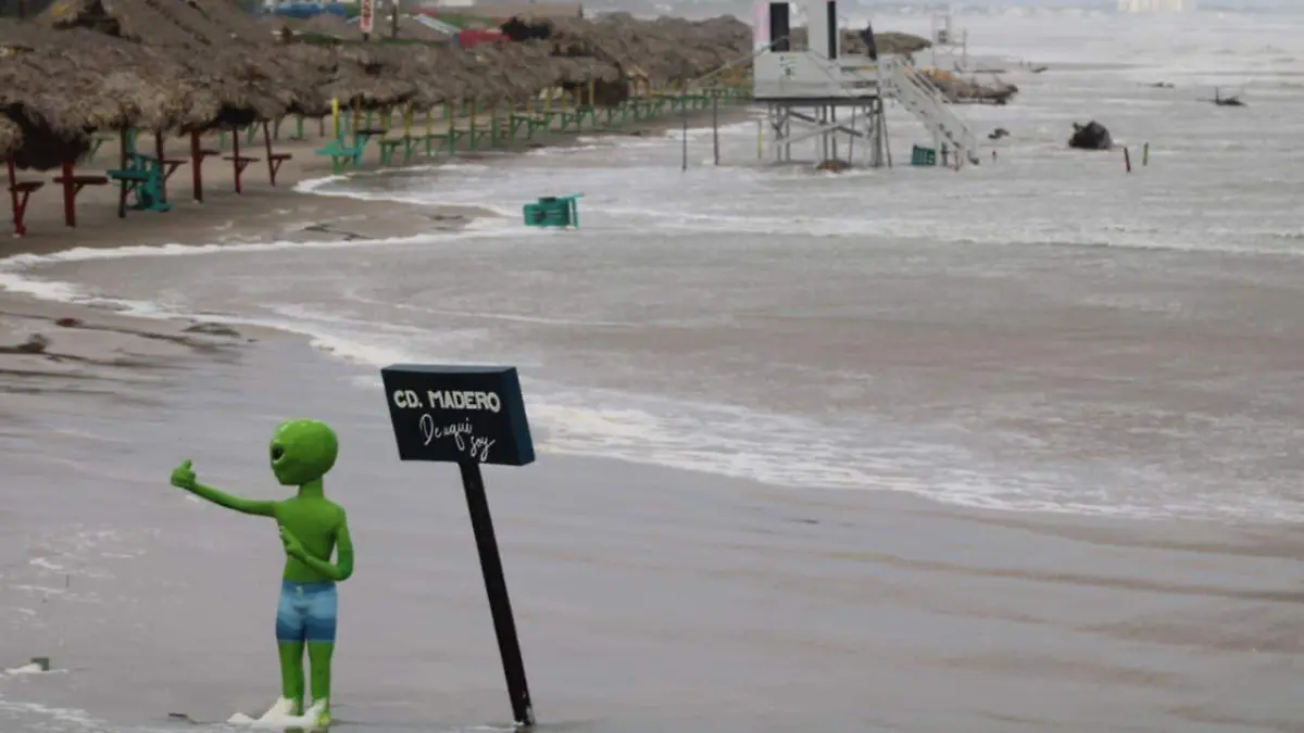 WhatsApp Image 2026-01-08 at 4.46.26 PM (1)