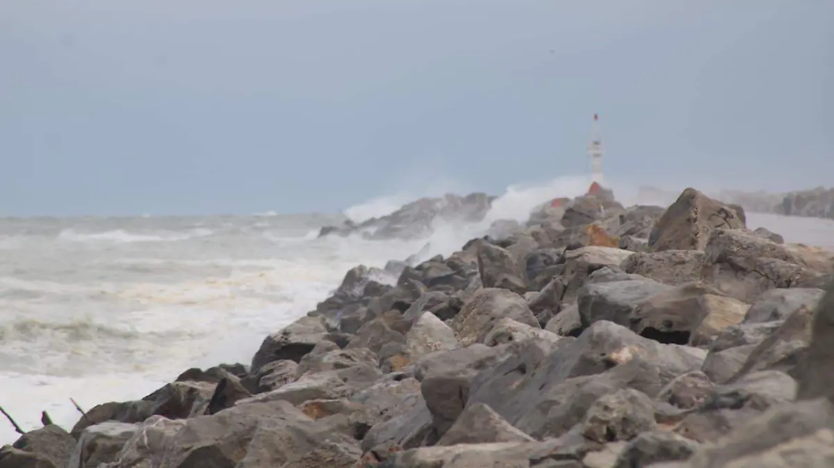 WhatsApp Image 2025-12-30 at 2.37.11 PM (1)