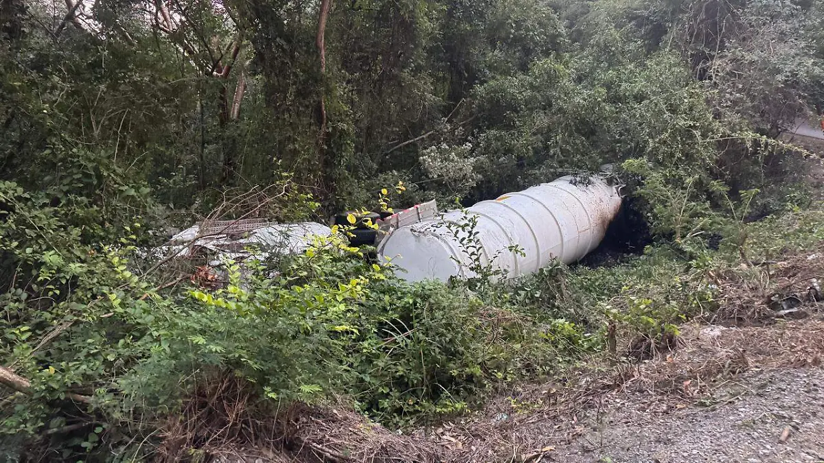 WhatsApp Image 2026-01-10 at 14.35.20 (1)