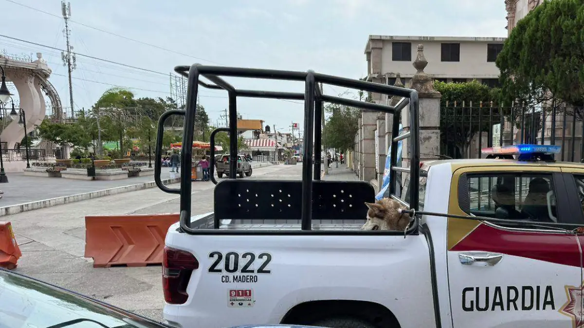 WhatsApp Image 2026-01-10 at 6.53.56 PM