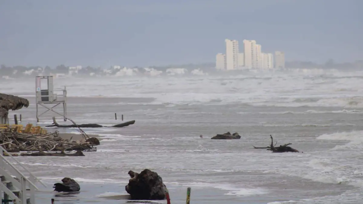 WhatsApp Image 2026-01-09 at 9.56.33 AM (1)