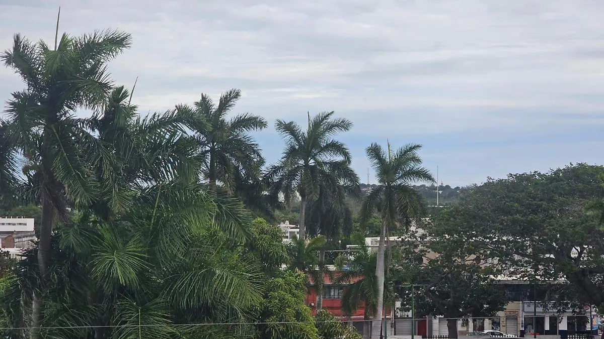 WhatsApp Image 2026-01-11 at 10.43.16