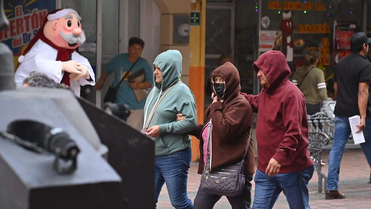 WhatsApp Image 2026-01-11 at 7.36.46 PM