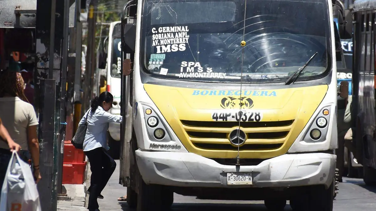 WhatsApp Image 2026-01-12 at 2.04.13 PM (1)