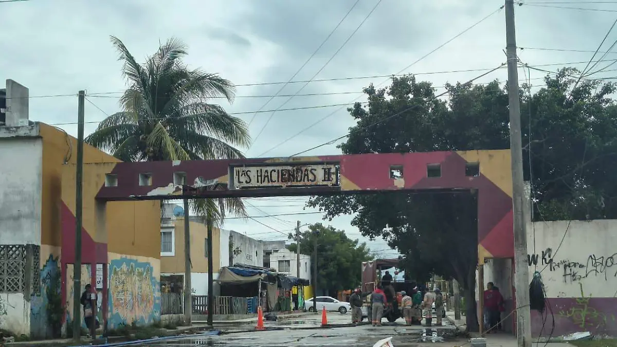 WhatsApp Image 2026-01-12 at 2.27.40 PM