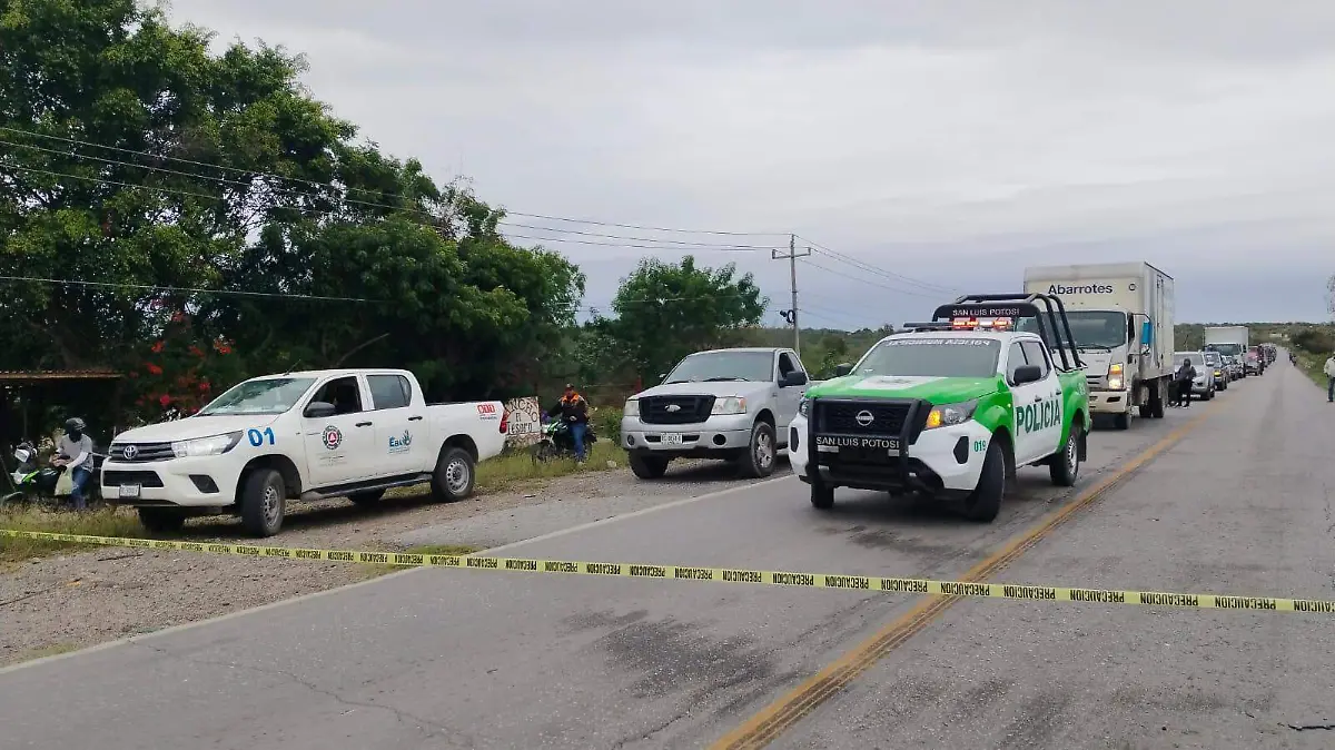 WhatsApp Image 2026-01-12 at 4.04.17 PM (2)