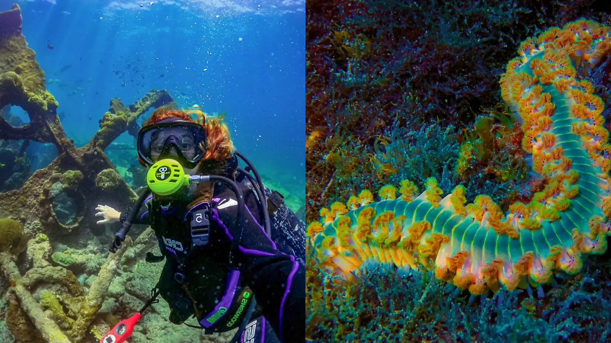 Aylinn y la vida marina de Playa Miramar