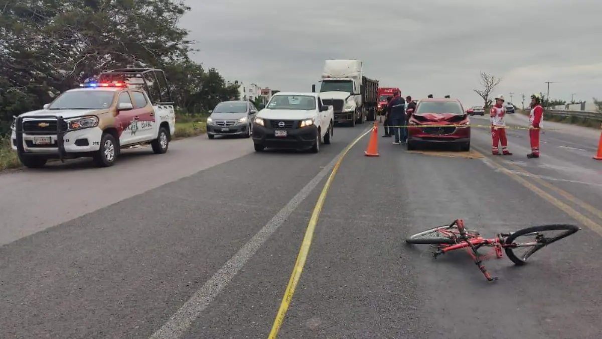 WhatsApp Image 2026-01-13 at 16.50.08