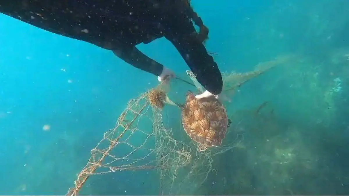 616682643_10231224538141713_2200176348294767707_n