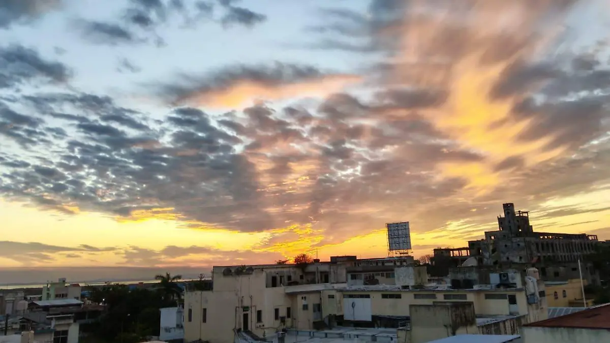 WhatsApp Image 2026-01-14 at 6.09.46 PM