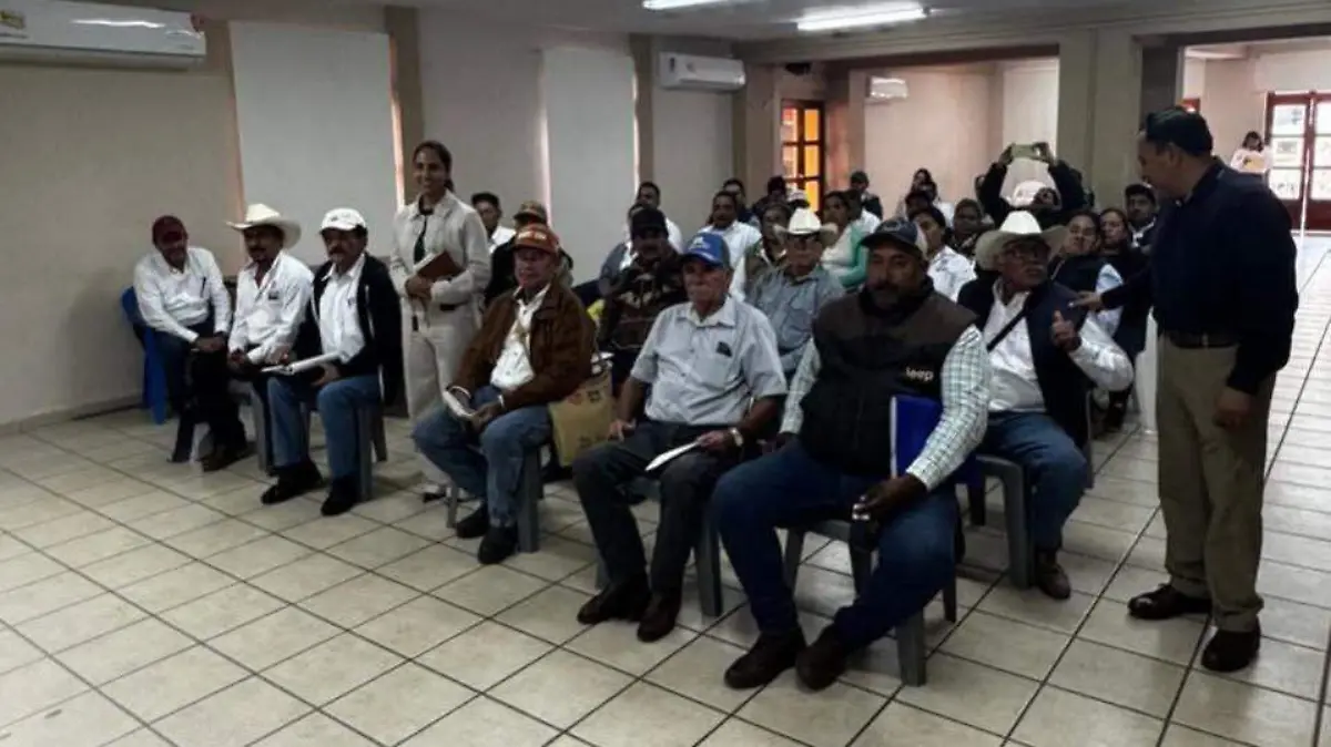 Refuerzan acciones contra el gusano barrenador en el norte de Veracruz