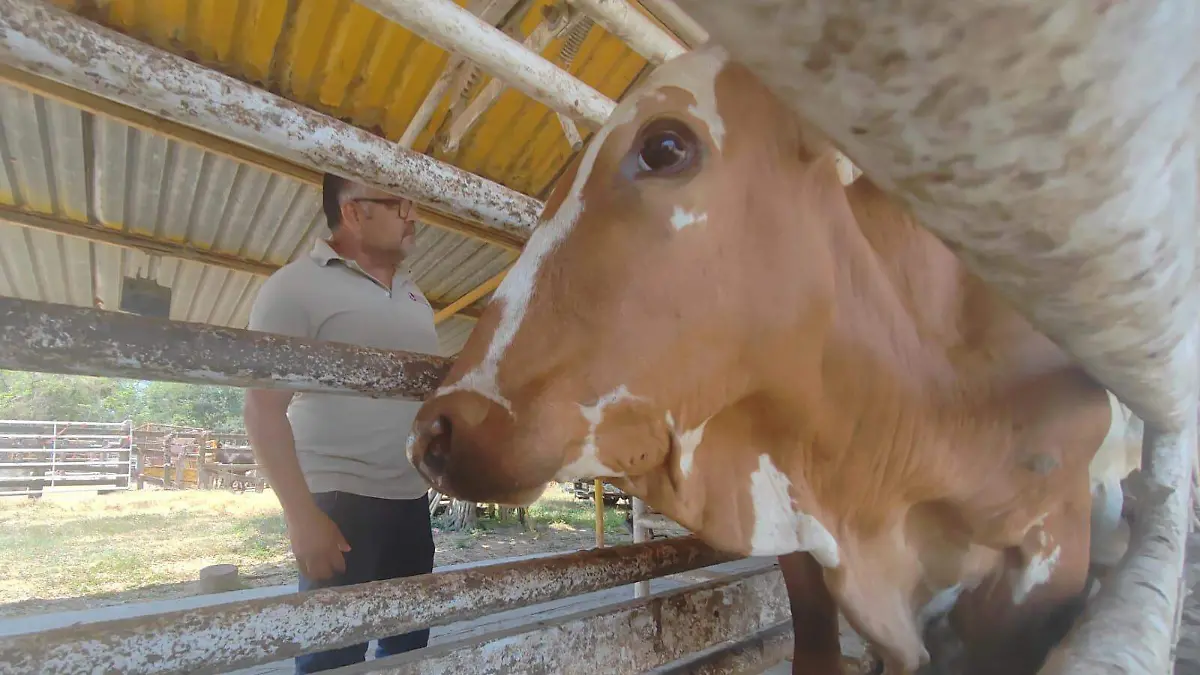 WhatsApp Image 2026-01-15 at 2.21.46 PM