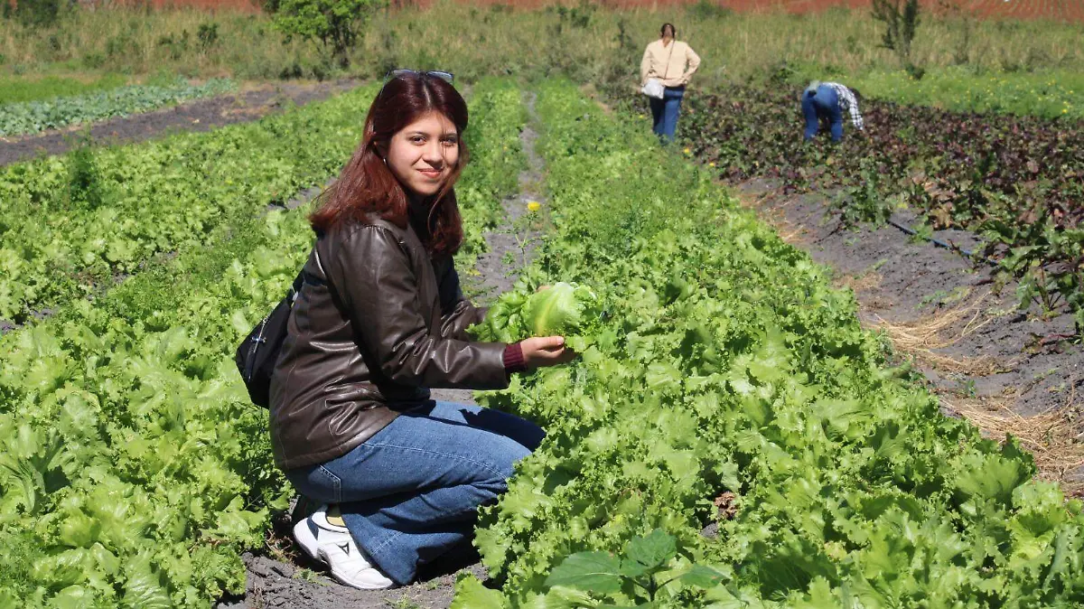 Esmeralda González Díaz vivió la experiencia de seleccionar y cosechar una lechuga